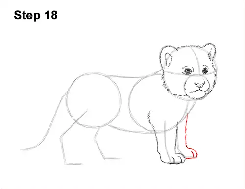 How to Draw a Cute Baby Tiger Cub 18