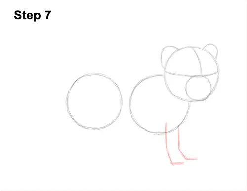 How to Draw a Cute Baby Tiger Cub 7