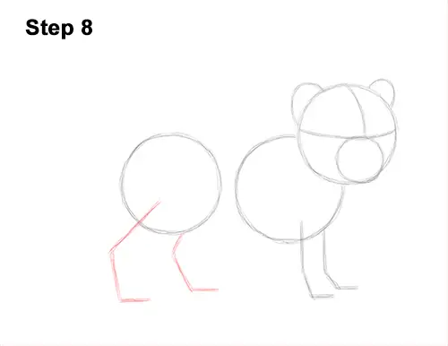 How to Draw a Cute Baby Tiger Cub 8