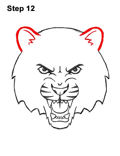 How to Draw Angry Roaring Cartoon Tiger Head 12