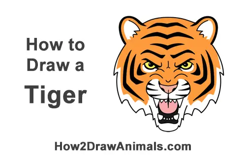 How to Draw Angry Roaring Cartoon Tiger Head