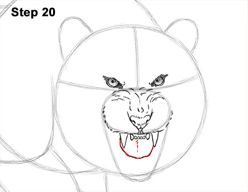 How to Draw a Mean Tiger Roaring Growling Stalking 20