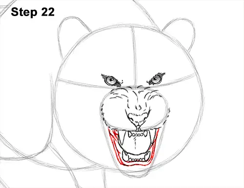 How to Draw a Mean Tiger Roaring Growling Stalking 22