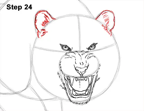 How to Draw a Mean Tiger Roaring Growling Stalking 24