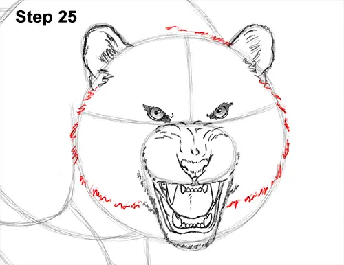 How to Draw a Mean Tiger Roaring Growling Stalking 25