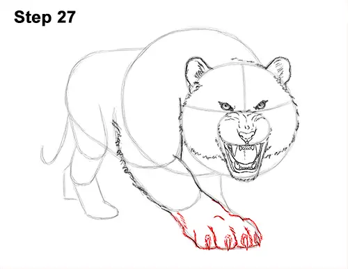 How to Draw a Mean Tiger Roaring Growling Stalking 27