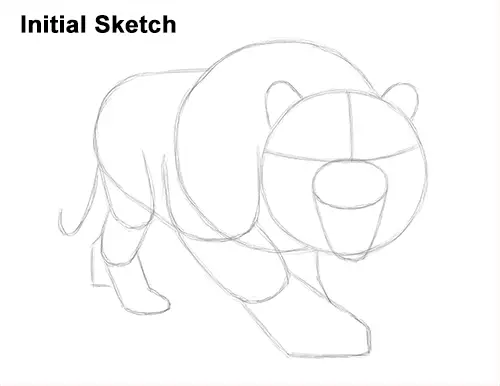 How to Draw a Mean Tiger Roaring Growling Stalking Initial Sketch