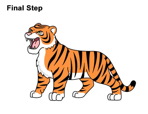 How to Draw Cartoon Tiger Roaring