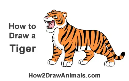 How to Draw a Tiger Roaring (Cartoon) VIDEO & Step-by-Step Pictures