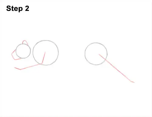 How to Draw a Tiger Running Side View 2