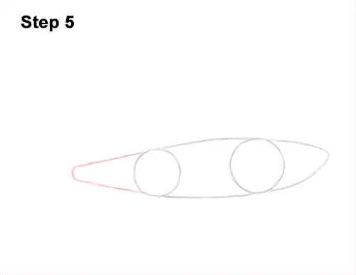 How to Draw Tiger Shark Swimming 5
