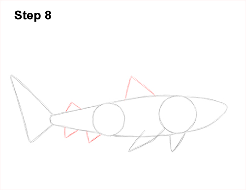 How to Draw Tiger Shark Swimming 8