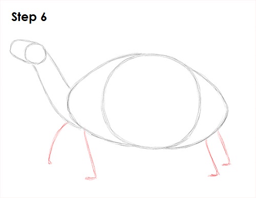 Draw Tortoise 6