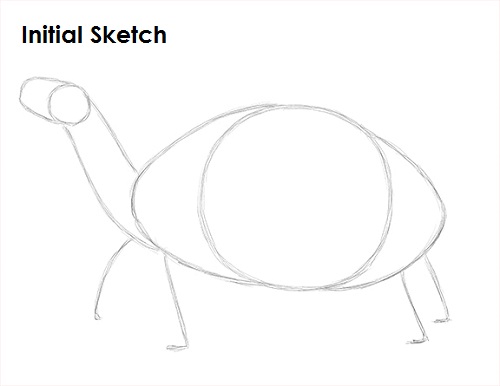 Draw Tortoise Sketch