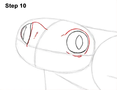 How to Draw a Red-Eyed Tree Frog 10