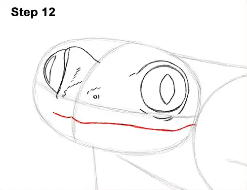How to Draw a Red-Eyed Tree Frog 12