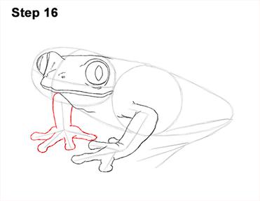 Realistic Frog Drawing Lesson