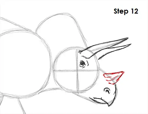 Draw Triceratops 12