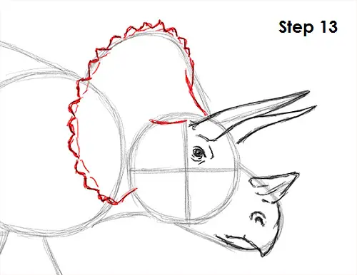 Draw Triceratops 13