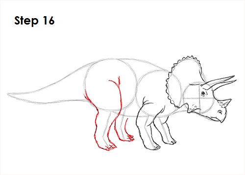 Draw Triceratops 16