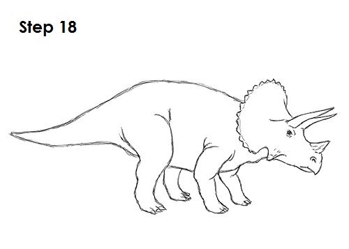 Draw Triceratops 18