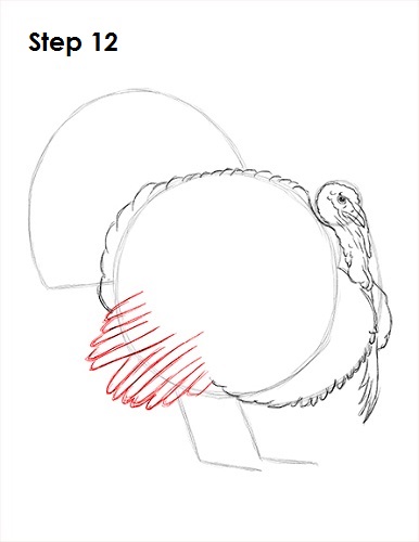 Draw a Turkey 12