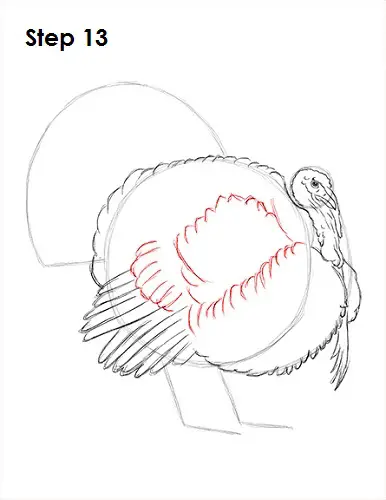 Draw a Turkey 13