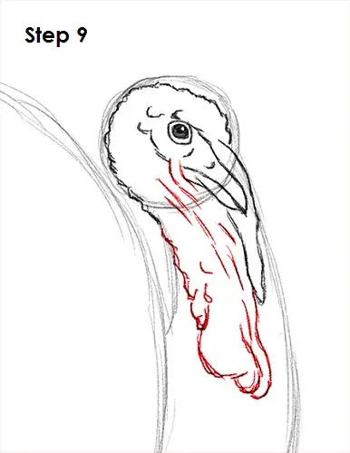 Draw a Turkey 9