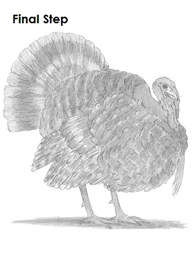 Turkey Drawing Completed