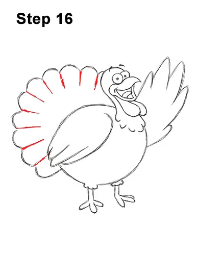How to Draw a Thanksgiving Funny Turkey Cartoon 16