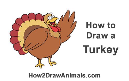 How to Draw a Turkey (Cartoon)