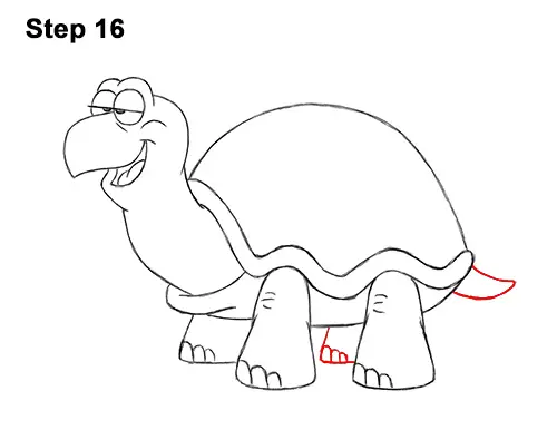 How to Draw a Turtle / Tortoise (Cartoon)