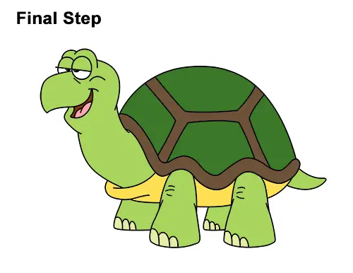 How to Draw Funny Cartoon Turtle Tortoise