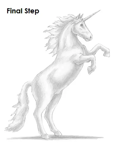 Draw a Unicorn