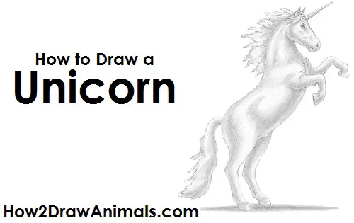 How to Draw a Unicorn  Easy Drawing Tutorial For kids