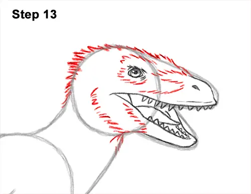 How to Draw Accurate Feathered Velociraptor 13