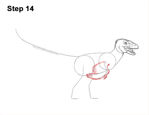 How to Draw Accurate Feathered Velociraptor 14