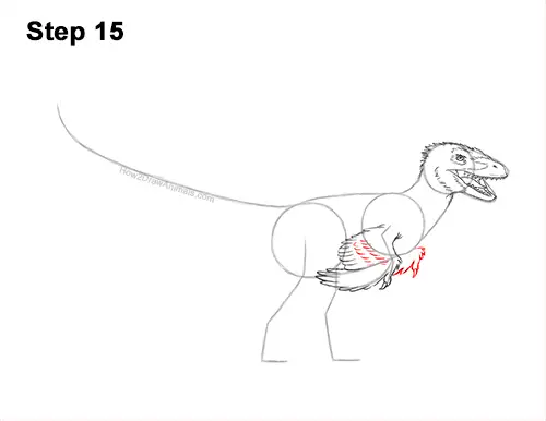 How to Draw Accurate Feathered Velociraptor 15