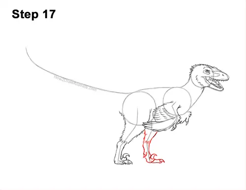 How to Draw Accurate Feathered Velociraptor 17