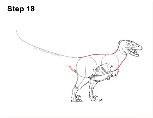 How to Draw Accurate Feathered Velociraptor 18