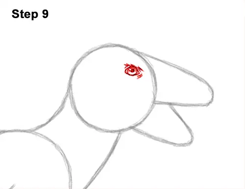How to Draw Accurate Feathered Velociraptor 9
