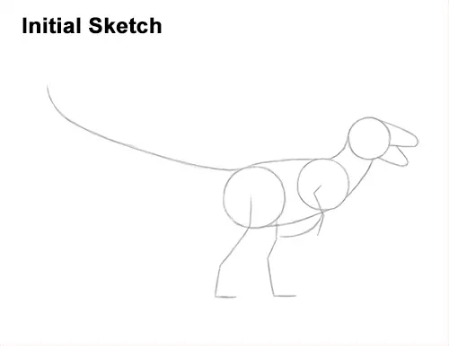 How to Draw Accurate Feathered Velociraptor Guides Lines