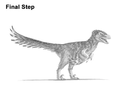 How to Draw Accurate Feathered Velociraptor