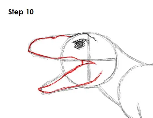 Draw a Velociraptor 10