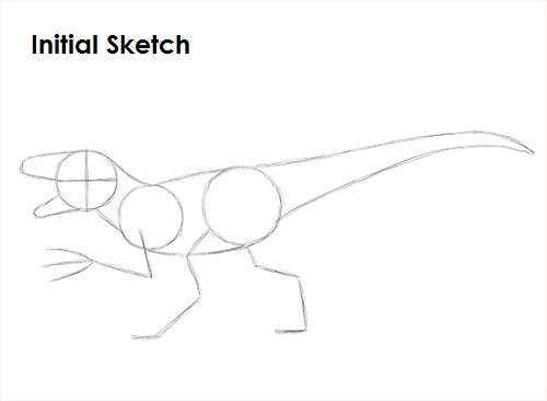 Draw a Velociraptor Sketch