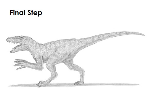 Draw a Velociraptor 