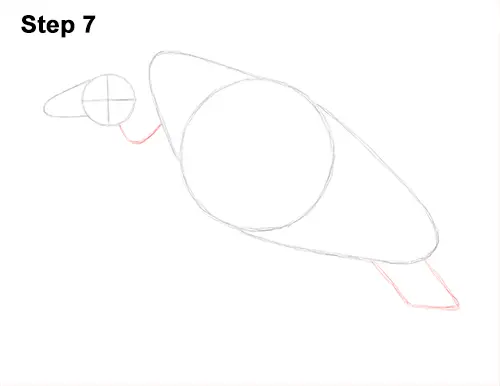 Draw Vulture Bird 7