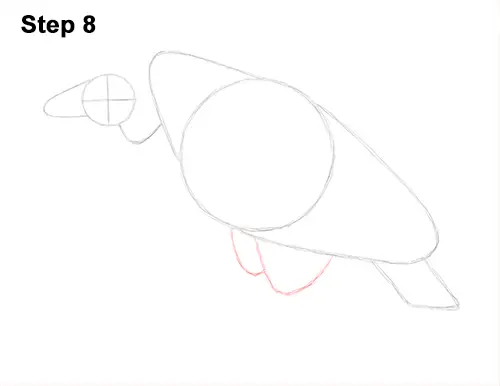 Draw Vulture Bird 8
