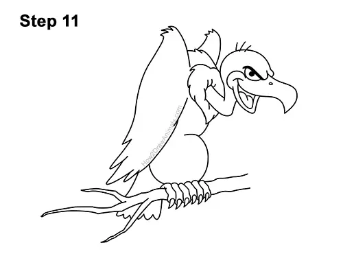 How to Draw a Cool Cartoon Vulture Condor Buzzard 11