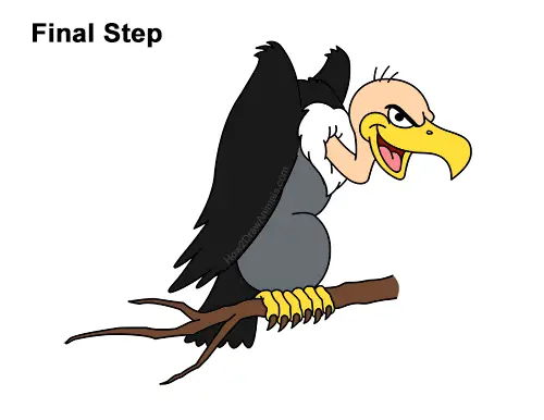 How to Draw a Cool Cartoon Vulture Condor Buzzard